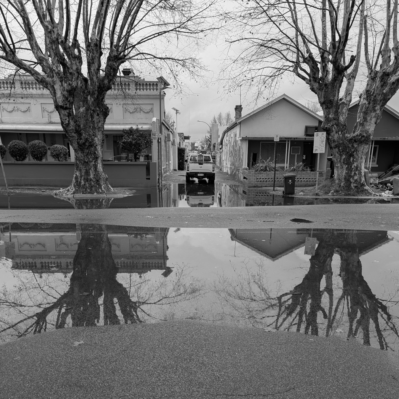 a year of walking around like a cockhead